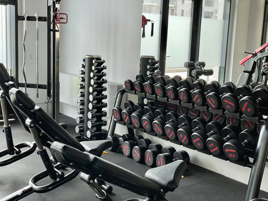 Sada polyuretanových jednoručních činek Lifefitness 10-35kg