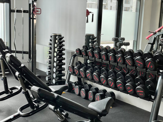 Sada polyuretanových jednoručních činek LifeFitness 10-50kg, 15 párů