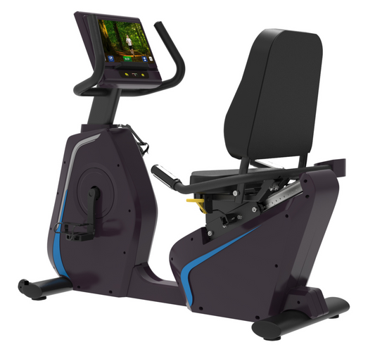 Commercial Recumbent Bike (Touch Screen Android)